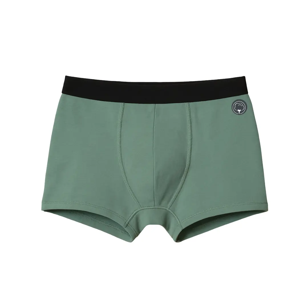 Le boxer Maxime français en coton bio Coton vert