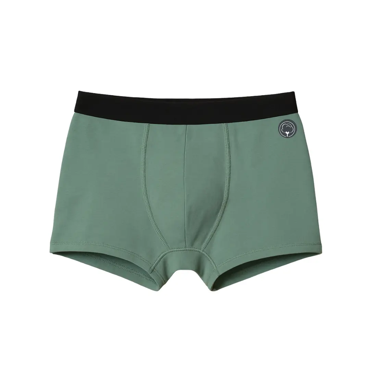 Le boxer Maxime français en coton bio Coton vert